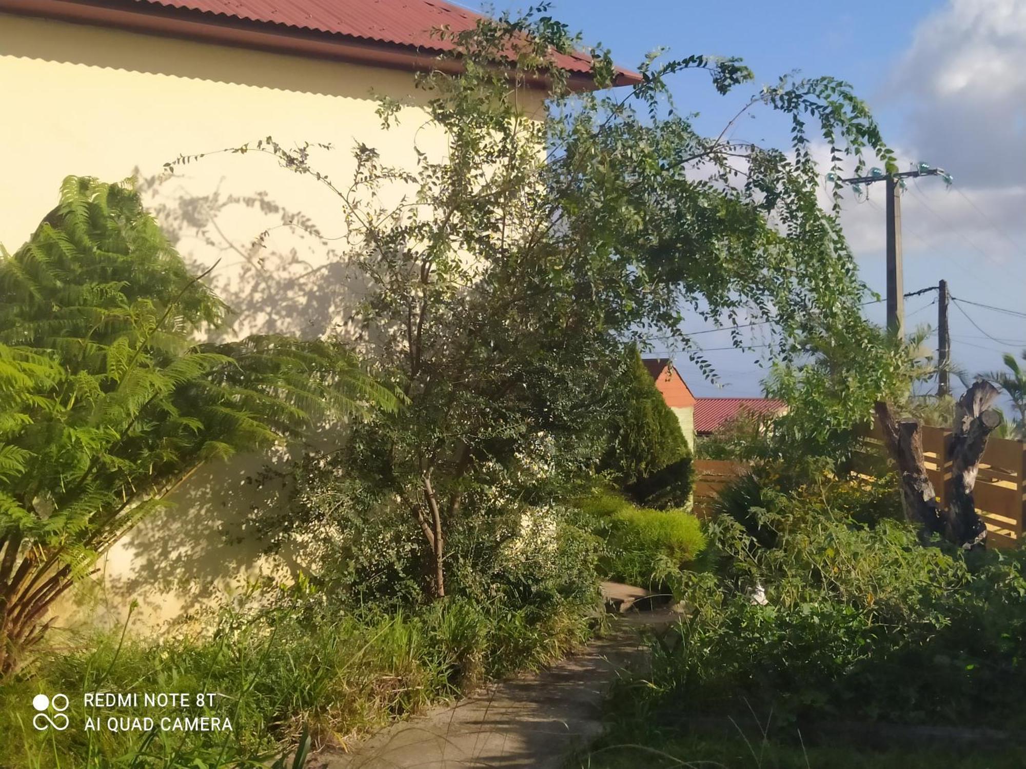 לה טאמפון Petit Appartement Dans Une Maison Individuelle מראה חיצוני תמונה